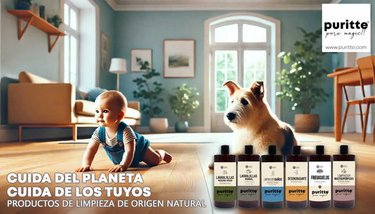 Descubre-la-Nueva-Gama-de-Productos-Puritte-Naturaleza-y-Eficiencia-para-tu-Hogar Puritte | Consigue tu bayeta premium